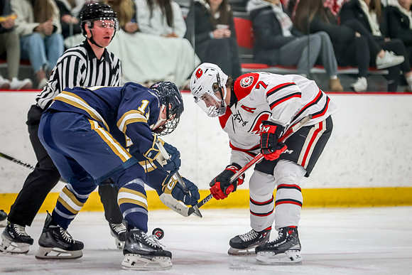 Centennial vs Hermantown Varsity Hockey 107