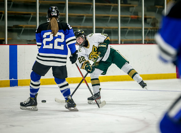 Chisago vs Rogers JV Hockey 123