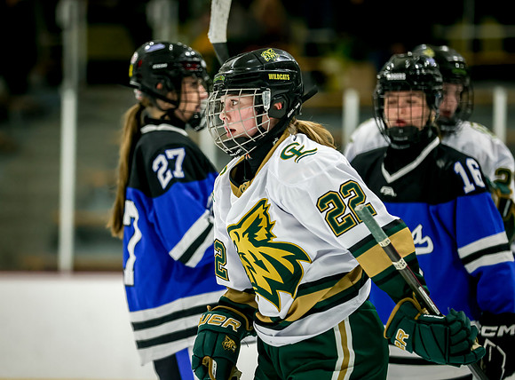 Chisago vs Rogers JV Hockey 306