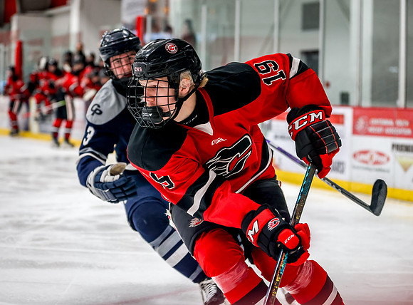 Chisago vs Rogers Varsity Hockey 87