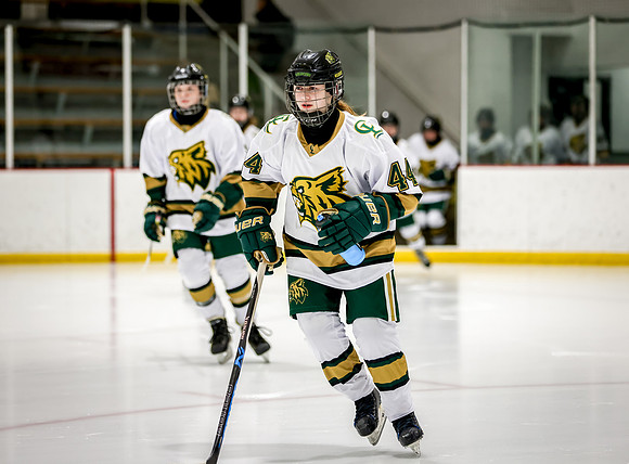 Chisago vs Rogers JV Hockey 4
