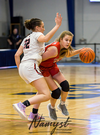 Centennial vs Shakopee Girls Basketball - State Tournament 036
