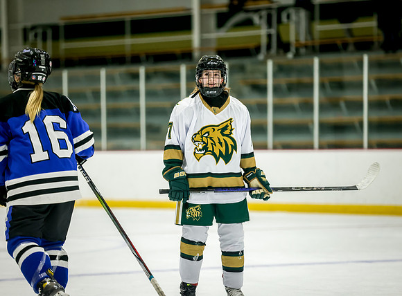 Chisago vs Rogers JV Hockey 322