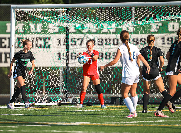 087 Mounds View vs Prior Lake Varsity Soccer