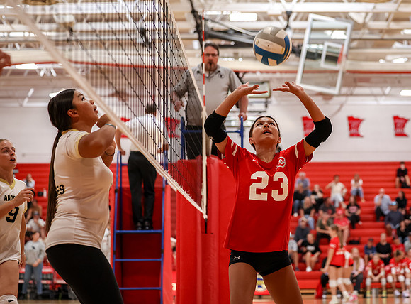 0331 Centennial vs Andover Girls 9B Volleyball