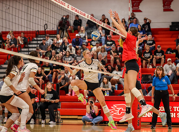 4901 Centennial vs Andover Girls Varsity Volleyball_