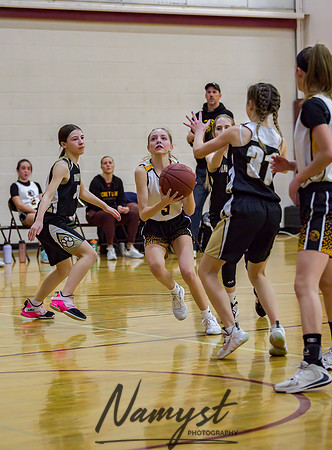 Forest Lake Girls 7 Maroon Basketball 107