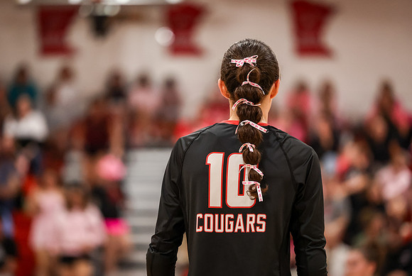 200 Centennial vs Rogers Girls Varsity Volleyball
