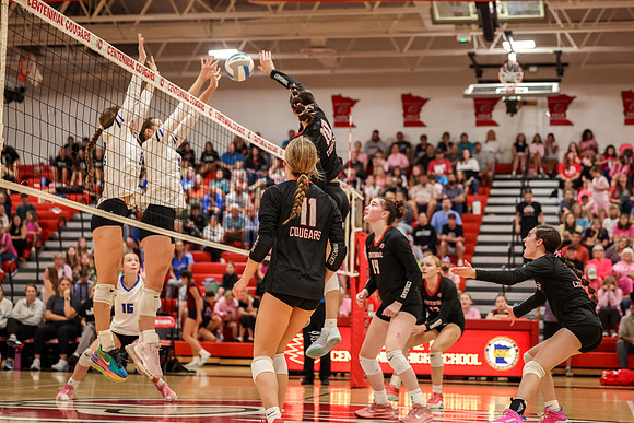 201 Centennial vs Rogers Girls Varsity Volleyball