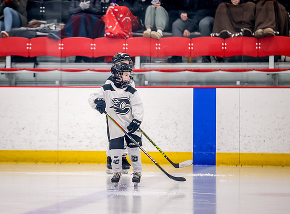 Chisago vs Rogers Varsity Hockey 11