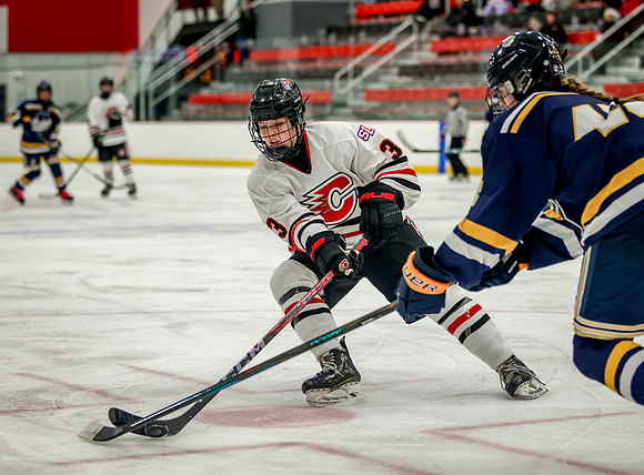 Centennial vs Rosemount JV Hockey 144