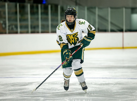 Chisago vs Rogers Varsity Hockey 351
