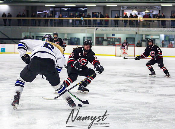 Centennial-Spring Lake Park vs Rogers Girls Varsity Hockey 121