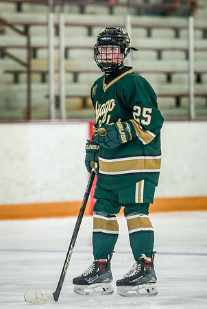 Chisago vs Forest Lake JV Hockey 205