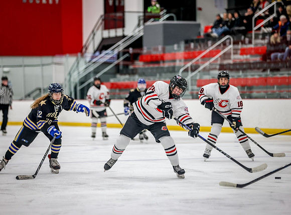 Centennial vs Holy Angels JV Hockey 38