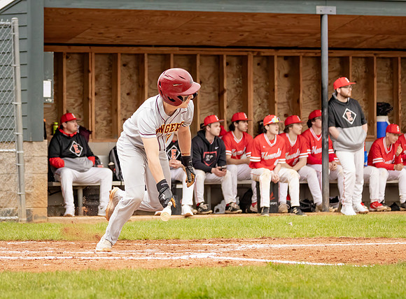 Forest Lake vs Duluth East Varsity Baseball 329