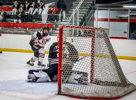 Centennial vs Holy Angels JV Hockey 88