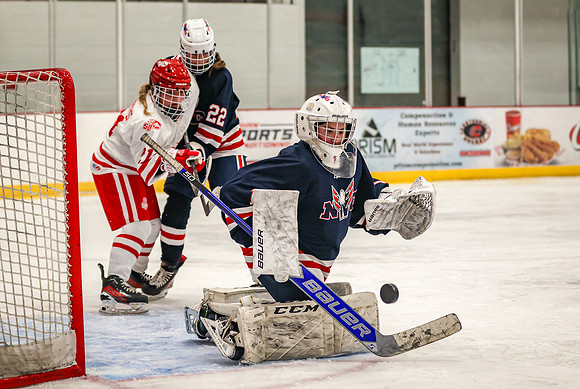 1291 Centennial JV Hockey
