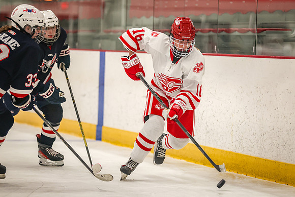 1393 Centennial JV Hockey