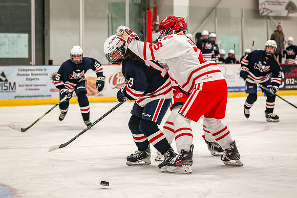1462 Centennial JV Hockey