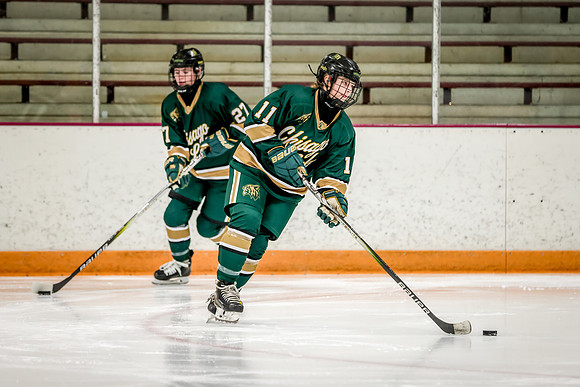 Chisago vs Forest Lake JV Hockey 14