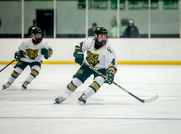 Chisago vs Rogers Varsity Hockey 394