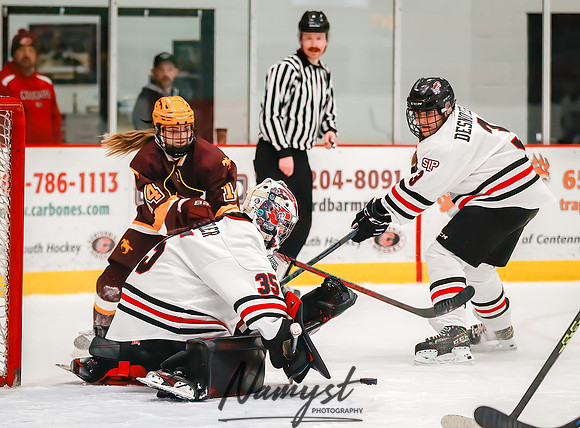 Centennial vs Forest Lake JV Hockey 84