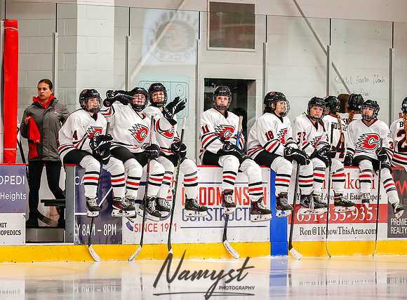Centennial vs Forest Lake JV Hockey 88
