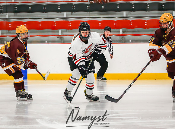 Centennial vs Forest Lake JV Hockey 95