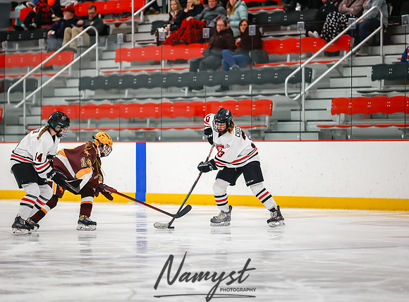 Centennial vs Forest Lake JV Hockey 101
