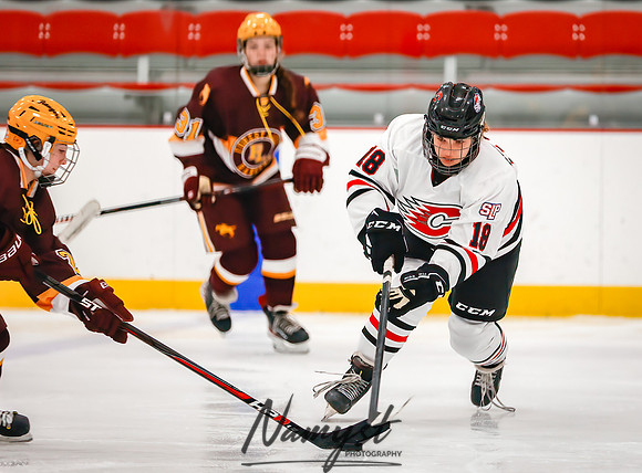 Centennial vs Forest Lake JV Hockey 111