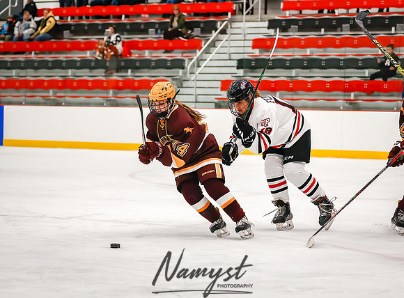 Centennial vs Forest Lake JV Hockey 129