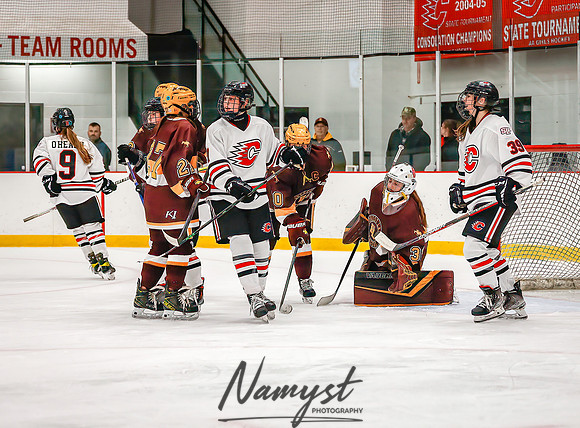 Centennial vs Forest Lake Varsity Hockey 247
