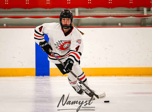 Centennial vs Forest Lake JV Hockey 16