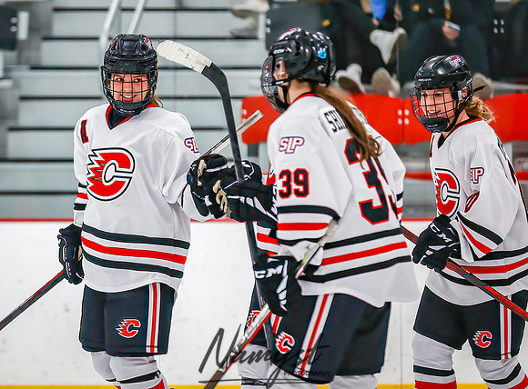 Centennial vs Forest Lake Varsity Hockey 250