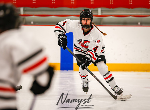 Centennial vs Forest Lake JV Hockey 17