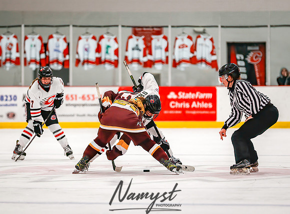 Centennial vs Forest Lake Varsity Hockey 252