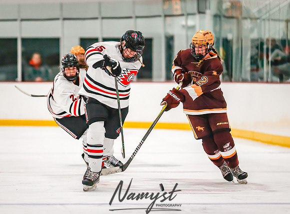 Centennial vs Forest Lake Varsity Hockey 253