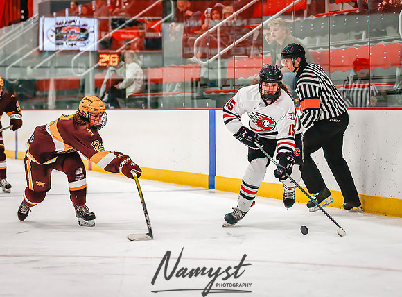 Centennial vs Forest Lake Varsity Hockey 255