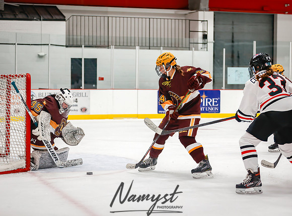 Centennial vs Forest Lake JV Hockey 30