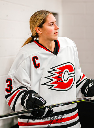 Centennial vs Forest Lake Varsity Hockey 13