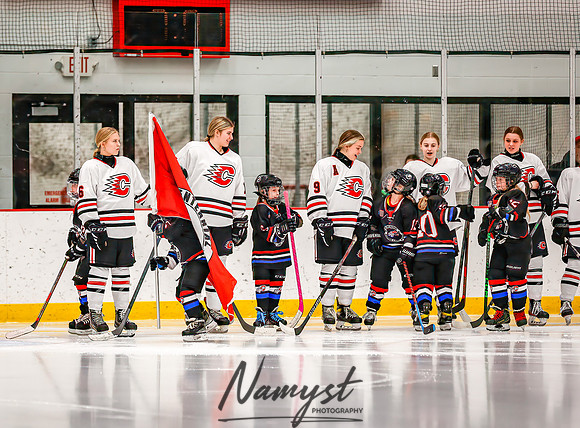Centennial vs Forest Lake Varsity Hockey 14
