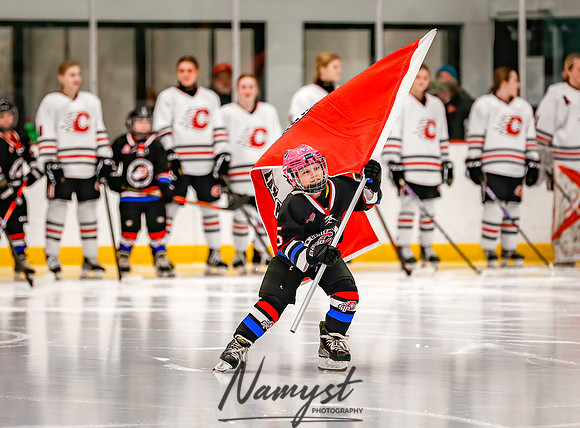 Centennial vs Forest Lake Varsity Hockey 16