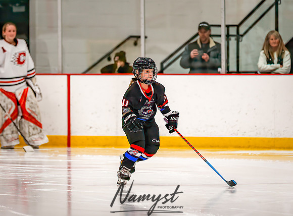 Centennial vs Forest Lake Varsity Hockey 21