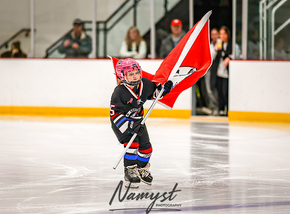 Centennial vs Forest Lake Varsity Hockey 17