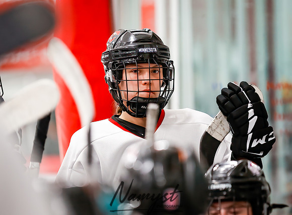Centennial vs Forest Lake JV Hockey 49