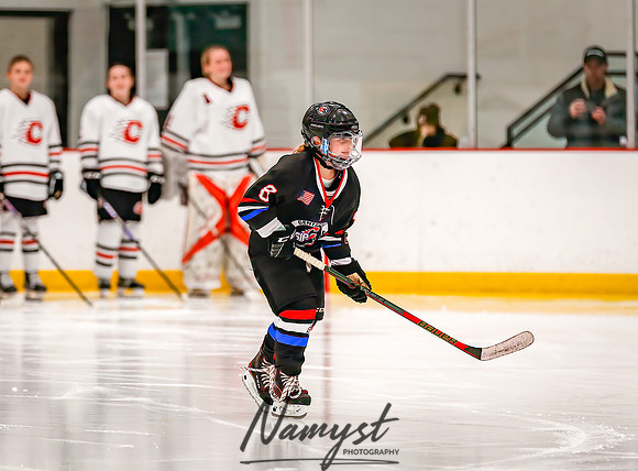 Centennial vs Forest Lake Varsity Hockey 24