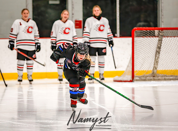 Centennial vs Forest Lake Varsity Hockey 26