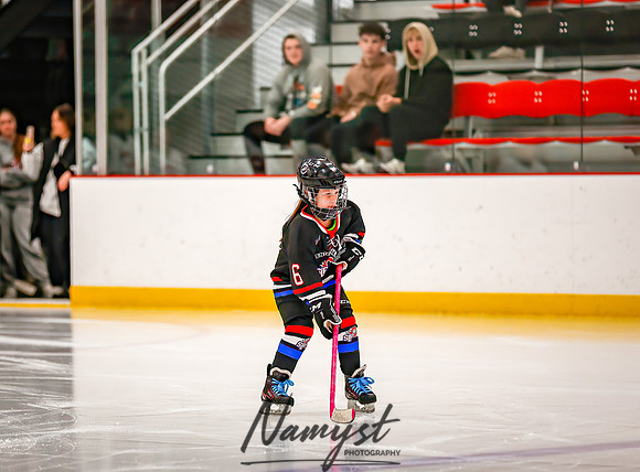Centennial vs Forest Lake Varsity Hockey 23