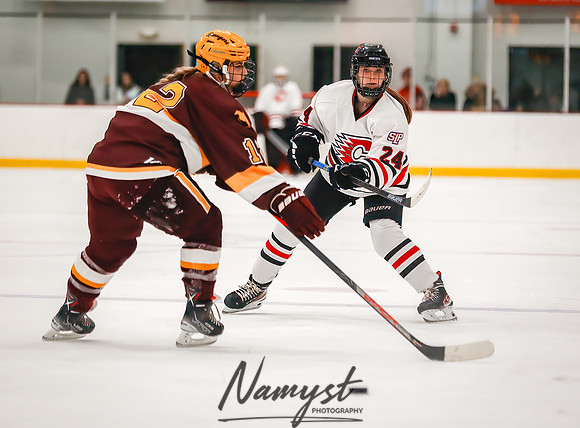 Centennial vs Forest Lake JV Hockey 54